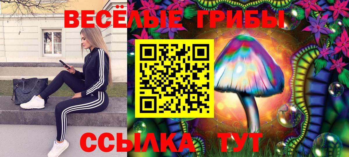 Галлюциногенные грибы GOLDEN TEACHER  Галлюциногенные грибы ЛСД  Вход с VPN  Троицк 